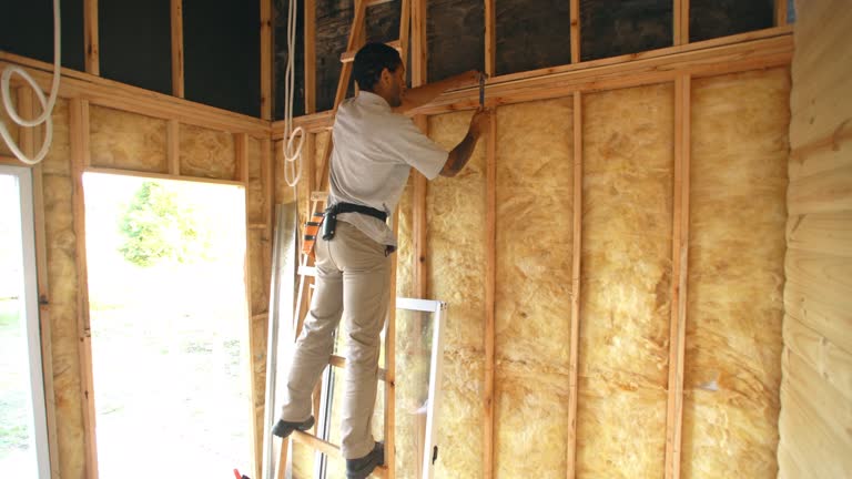 Eco-Friendly or Green Insulation Solutions in North Miami Beach, FL